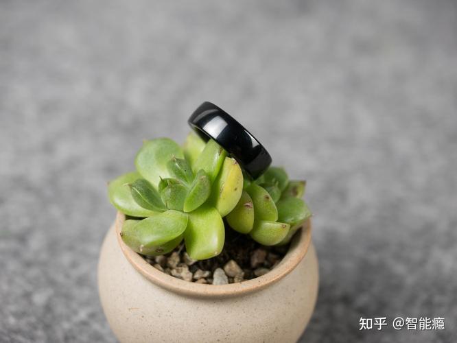 智能戒指 指尖上的未來，還是美麗的失敗？